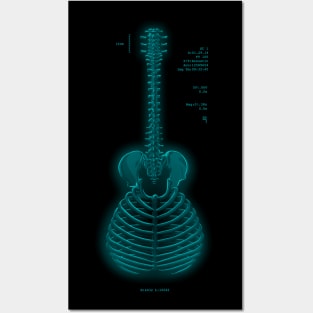 guitar anatomy Posters and Art